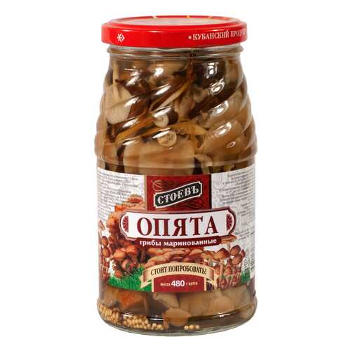 Опята Стоевъ маринованные 480 г в ВкусВилл