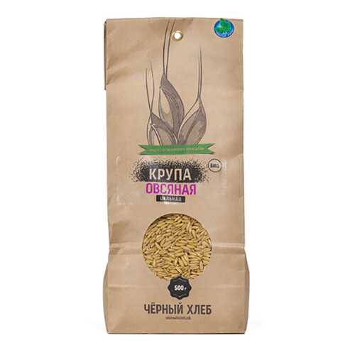 Крупа овсяная Черный хлеб цельная био 500 г в ВкусВилл