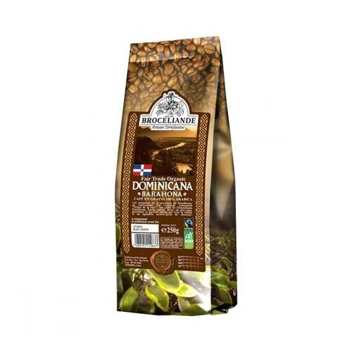 Кофе Broceliande Dominicana Barahona в зернах 250 г в ВкусВилл