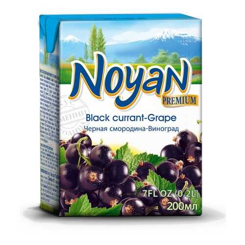 Черная смородина-виноград нектар Noyan premium 0.2 л в ВкусВилл