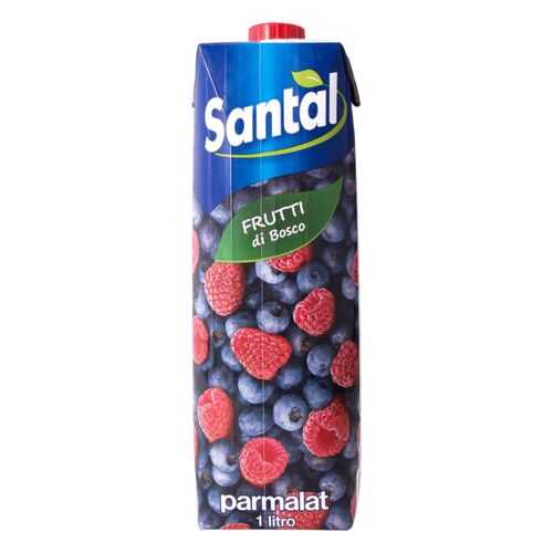 Напиток сокосодержащий Santal лесные ягоды 1 л в ВкусВилл